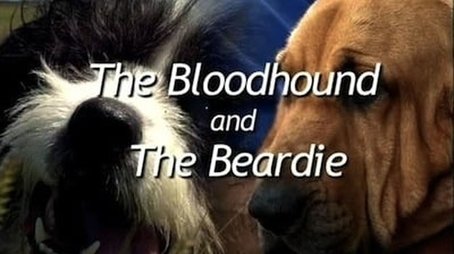 The Bloodhound and the Beardie (2007) - Episode 12 poster and promotional image