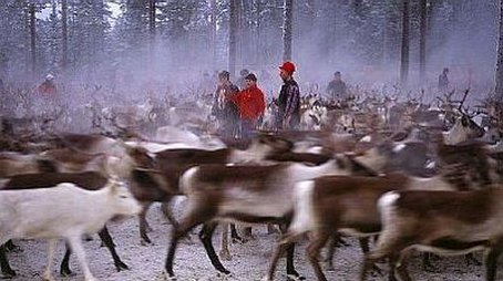 On the Path of the Reindeer (1997) - Episode 9 poster and promotional image