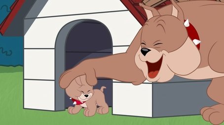 O Show de Tom e Jerry24