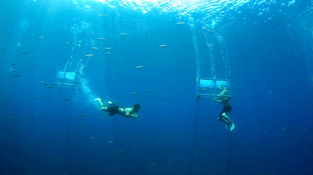 Blood Versus Love (2016) - Episode 9 poster and promotional image