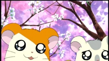 The Blossoms Of Friendship! (2001) - Episode 40 poster and promotional image