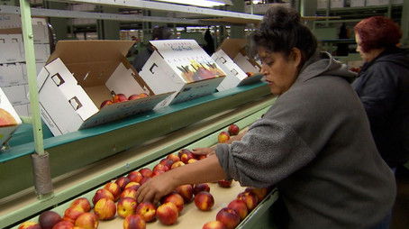 Harvesting Plus (2022) - Episode 9 poster and promotional image