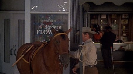 Manhattan Manhunt (1) (or Horse Stealing on Fifth Avenue) (1970) - Episode 3 poster and promotional image