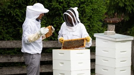 Beekeeping (2021) - Episode 7 poster and promotional image