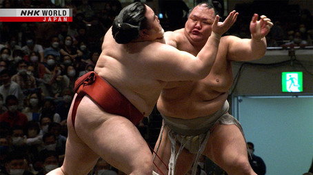 GRAND SUMO Highlights Сезон 13