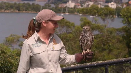 Gorilla (2022) - Episode 2 poster and promotional image