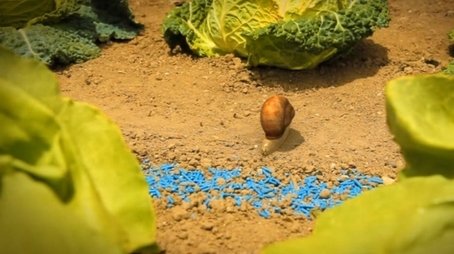 The Vegetable Garden (2011) - Episode 13 poster and promotional image