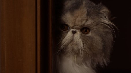 Grandma Anita (2) (2022) - Episode 6 poster and promotional image