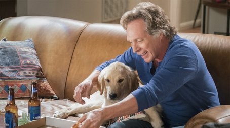 Phone Confetti and a Wee Dingle (2018) - Episode 21 poster and promotional image