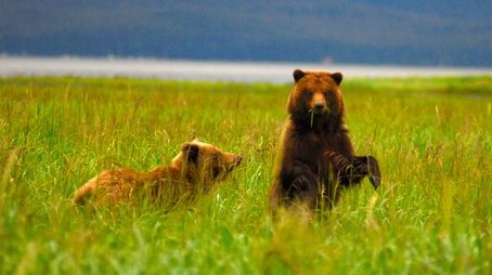 Fortress of the Bears (2012) - Episode 6 poster and promotional image