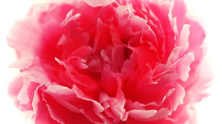 RHS Chelsea Flower Show 시즌 0