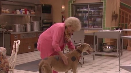 A New Leash on Life (1993) - Episode 19 poster and promotional image