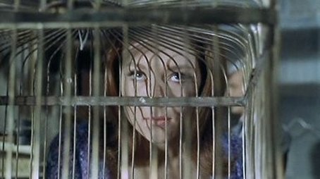 The Bird Who Knew Too Much (1967) - Episode 5 poster and promotional image
