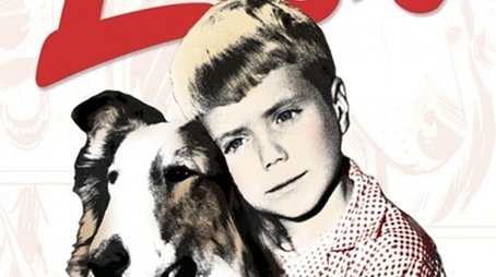 Season 19 (1972) - Season 19 poster and promotional image