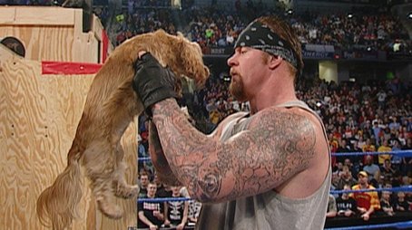 SmackDown 184 (2003) - Episode 8 poster and promotional image