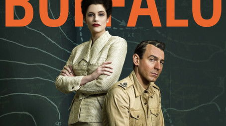 Operation Buffalo (2020) poster