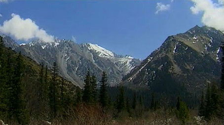 Episode 23 (1999) - Episode 23 poster and promotional image