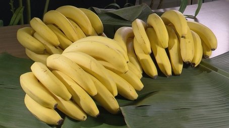 BANANAS (2022) - Episode 2 poster and promotional image