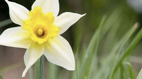 Daffodil Way (2021) - Episode 14 poster and promotional image