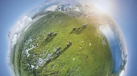 Planet Earth II (2016) poster
