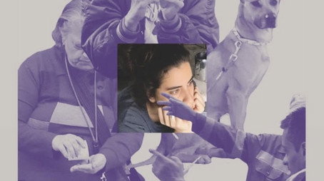 As Flores (2025) poster