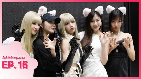 에이핑크 다이어리 Сезон 9