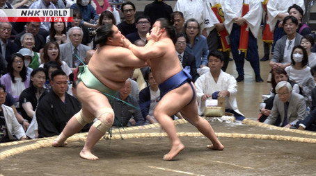GRAND SUMO Highlights Сезон 35