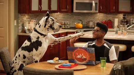 Sup, Dawg? (2016) - Episode 13 poster and promotional image