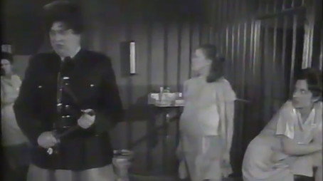 Second City Television Stagione 1