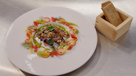 MasterChef Sezona 22