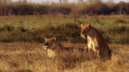 Creative Killers Stagione 1