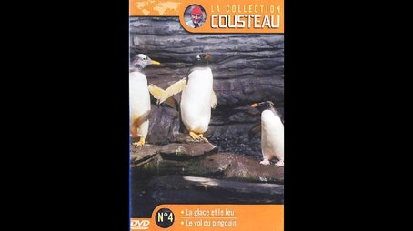 The flight of penguins (1974) - Episode 26 poster and promotional image