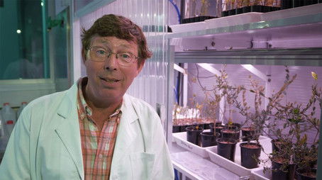 Episode 28 (2019) - Episode 28 poster and promotional image