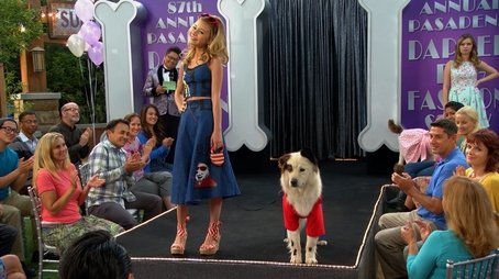 Dog on a Catwalk (2015) - Episode 9 poster and promotional image