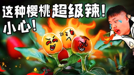 X Fun吃货俱乐部 Сезон 10