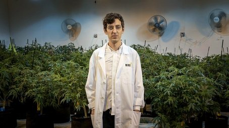 Beating Blindness & White Collar Weed (2016) - Episode 4 poster and promotional image