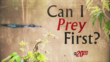 Can I Prey First? (2024) - Episode 4 poster and promotional image