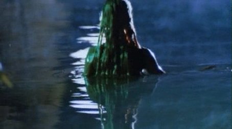 The Legend of the Swamp Maiden (1990) - Episode 4 poster and promotional image