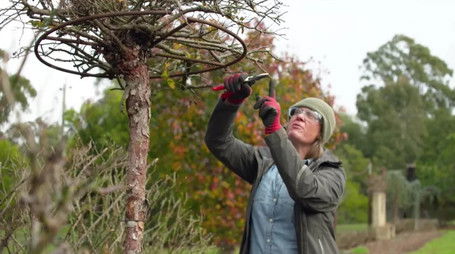 Episode 19 90th Birthday, Ita Buttrose, Ferny Creek & Zoo (2022) - Episode 19 poster and promotional image