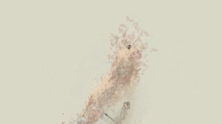 Songbird (None) poster