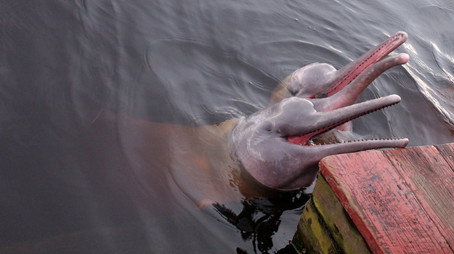 River Monsters Сезон 0