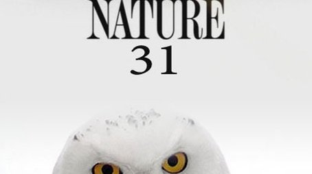 Season 31 (2012) - Season 31 poster and promotional image