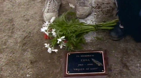 Valentine's Day Massacre (1991) - Episode 1 poster and promotional image