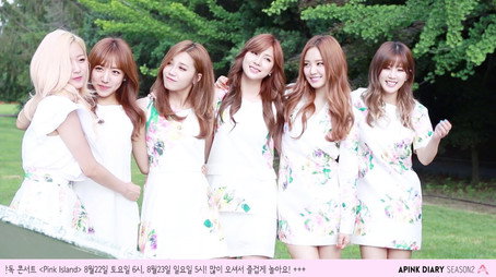 에이핑크 다이어리 Сезон 2