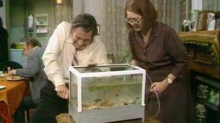 The Inspector's Pets (1971) - Episode 4 poster and promotional image