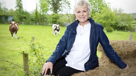 Julie Walters (2014) - Episode 1 poster and promotional image