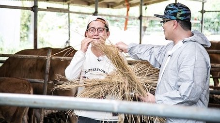Farming Activity for Fall + Three Things You'd Take to a Deserted Island (1) (2016) - Episode 463 poster and promotional image
