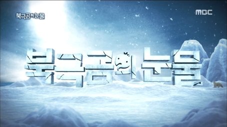 Tears of the Polar Bear: Part 1 (2016) - Episode 508 poster and promotional image