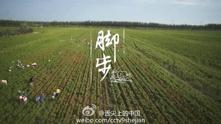 舌尖上的中国 Сезон 2