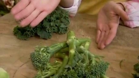 If It Ain't Broccoli, Don't Fix It (2008) - Episode 16 poster and promotional image